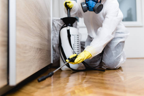 Best Rat Extermination Near Me  in Monmouth, IL
