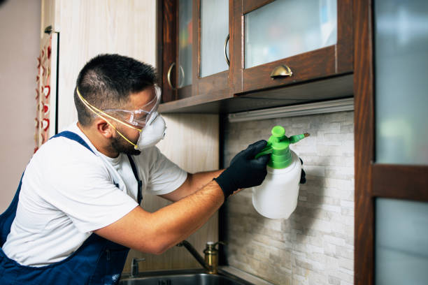 Best Wildlife Control Services  in Monmouth, IL