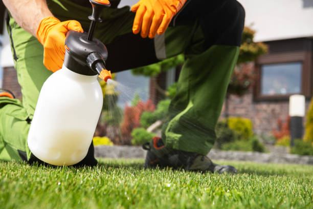 Best Pest Removal Services  in Monmouth, IL