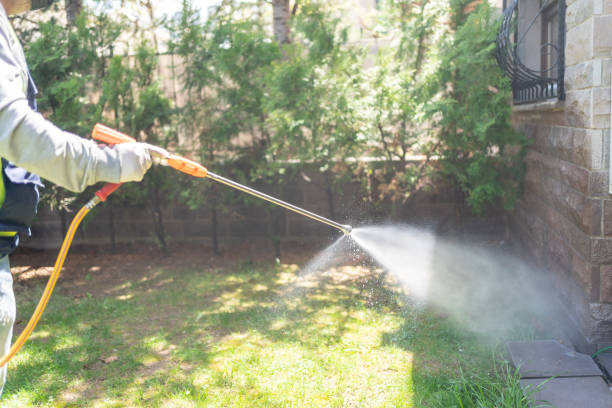 Best Pest Prevention Services  in Monmouth, IL