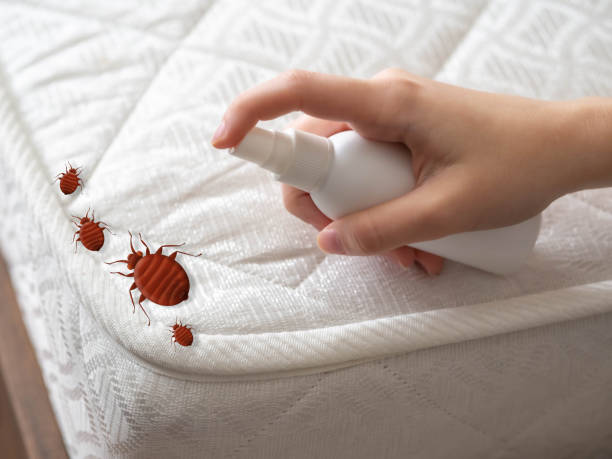 Best Wasp Removal Services  in Monmouth, IL