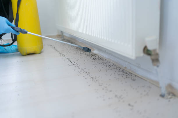Best Pest Control Near Me  in Monmouth, IL