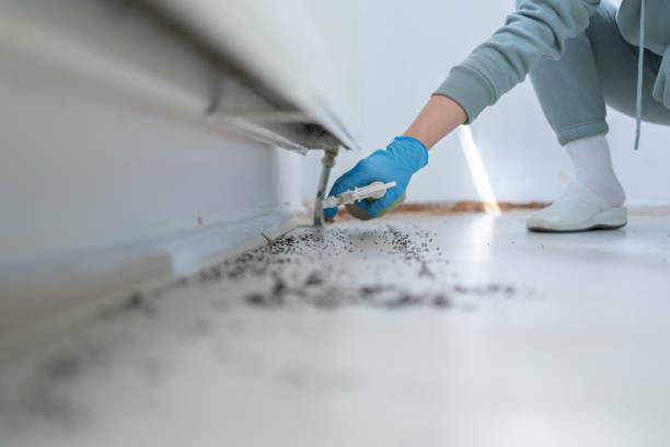 Best Commercial Pest Control Services  in Monmouth, IL